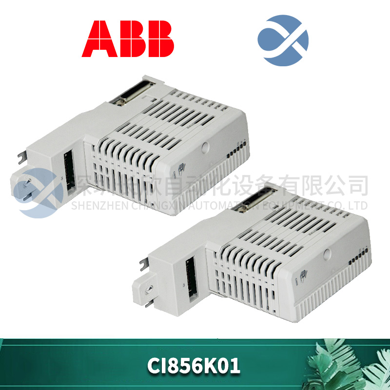 ABB CI856K01 (2).jpg