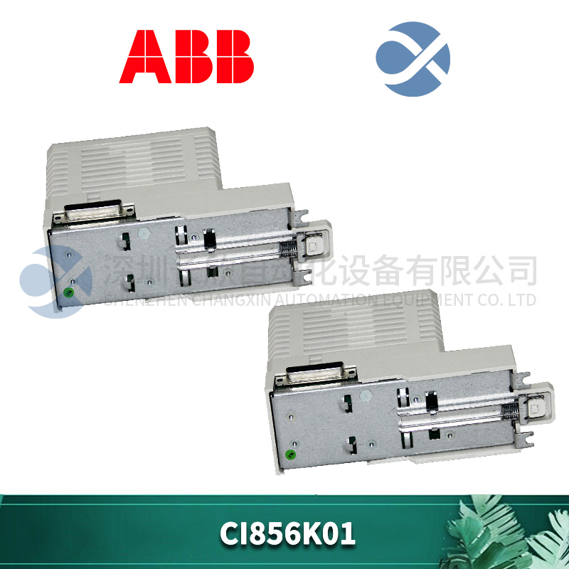 ABB CI856K01 (1).jpg